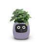 Smart Small Flower Pot (Copy)