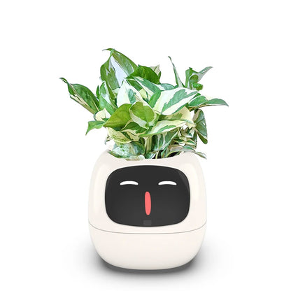 Smart Small Flower Pot (Copy)