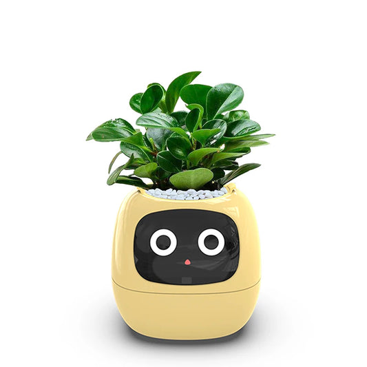 Smart Small Flower Pot (Copy)