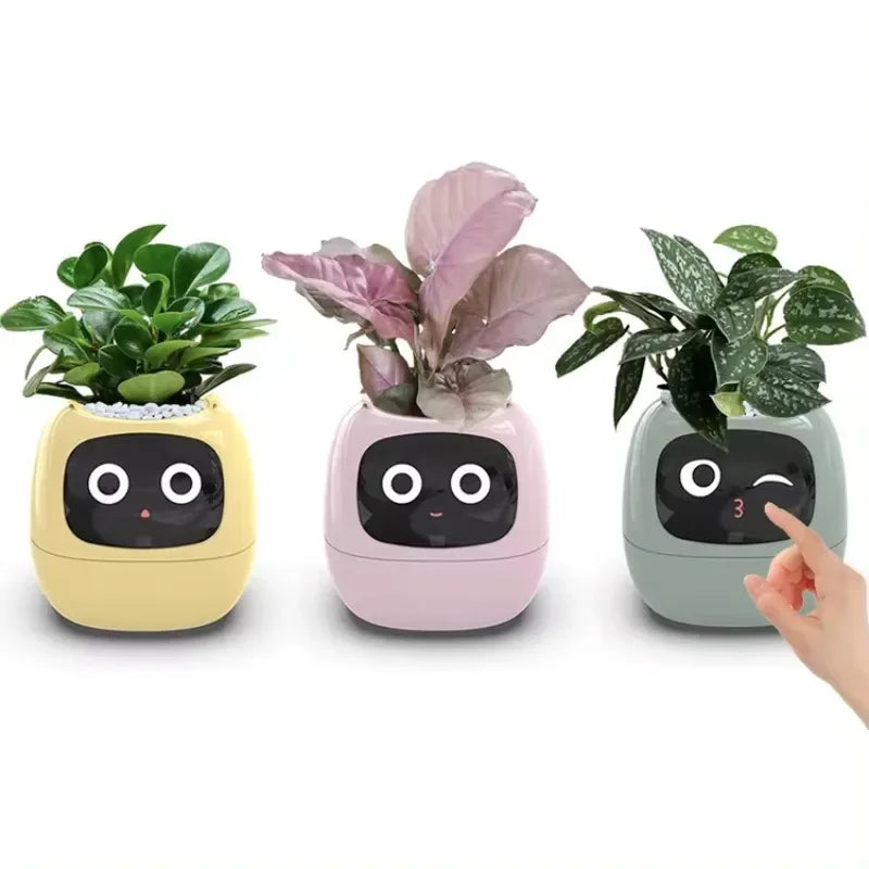 Smart Small Flower Pot (Copy)