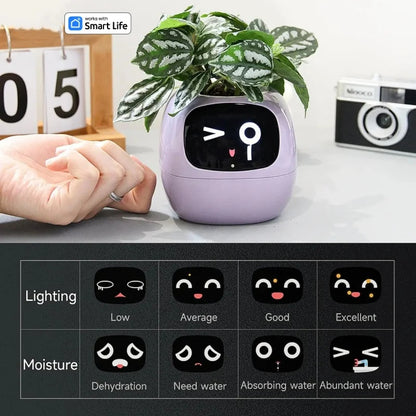 Smart Small Flower Pot (Copy)