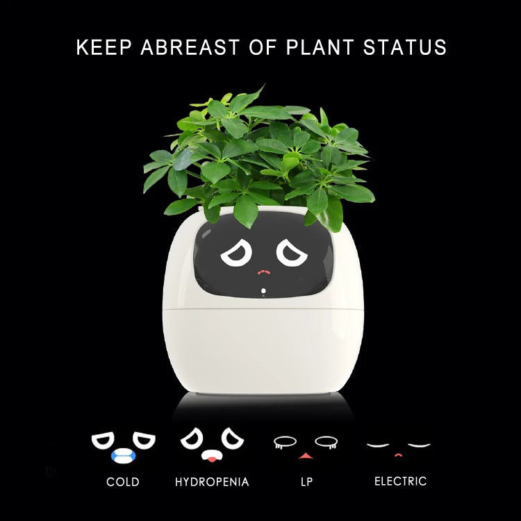 Smart Small Flower Pot (Copy)