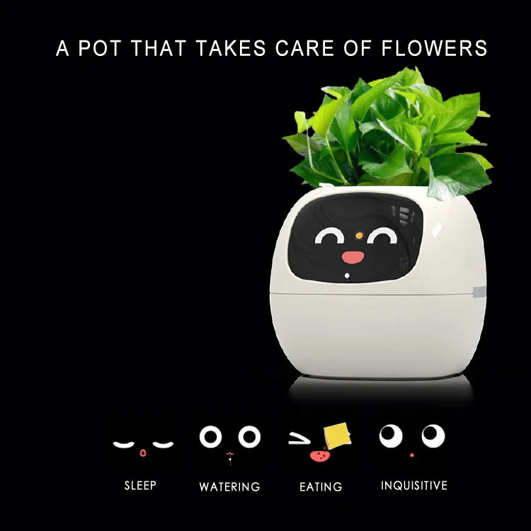 Smart Small Flower Pot (Copy)
