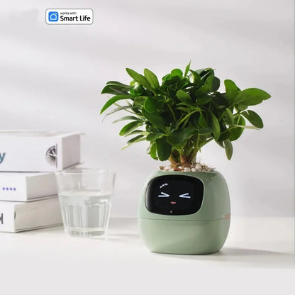 Smart Small Flower Pot (Copy)