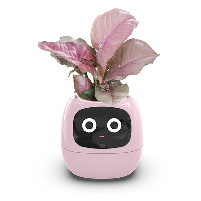 Smart Small Flower Pot (Copy)